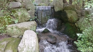 0906_3.jpg