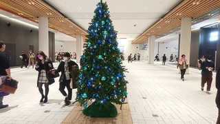 aichi_10.jpg