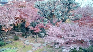 asakuratei_8.jpg