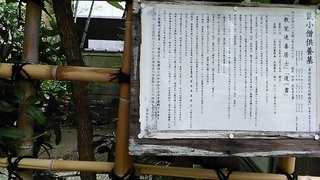 ekouin2.jpg