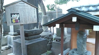 ekouin3.jpg