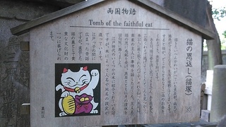 ekouin4.jpg