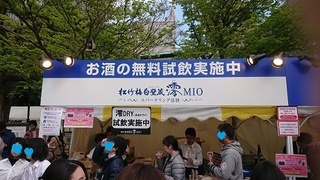 fes10.jpg