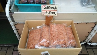 katsuo3.jpg