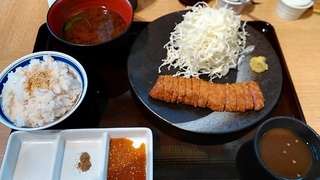 katugyu2.jpg