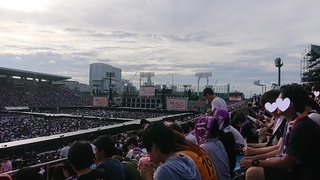 nogi.jpg