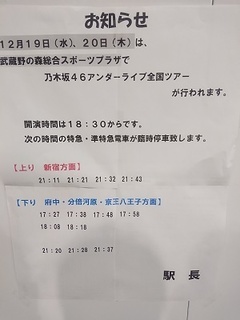 nogi_1.jpg