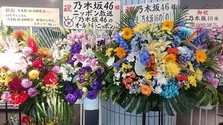 nogi_11.jpg