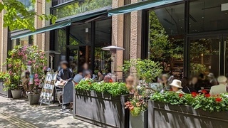 パエリアが手軽にランチでいただける