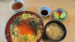 shimamura_3.jpg
