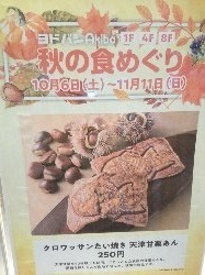 taiyaki_2.jpg