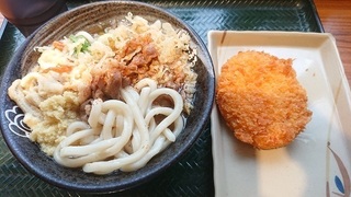 uenomole_2.jpg