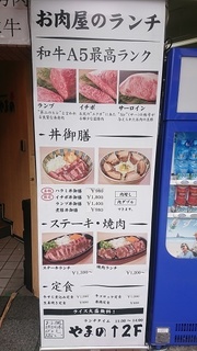 yamano_1.jpg