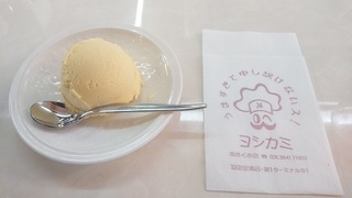 yoshikami_4.jpg