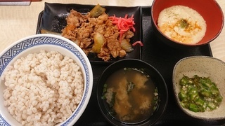 yoshinoya.jpg